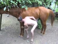 Balding gay man fucks himself with horse cock animal porn